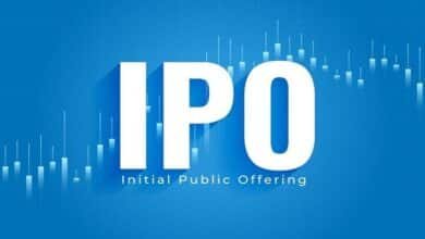 link intime ipo allotment